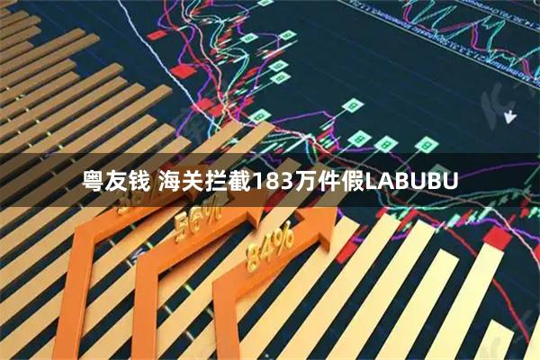 粤友钱 海关拦截183万件假LABUBU