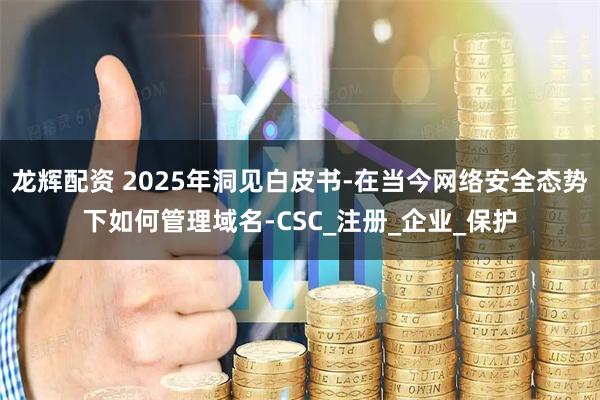 龙辉配资 2025年洞见白皮书-在当今网络安全态势下如何管理域名-CSC_注册_企业_保护
