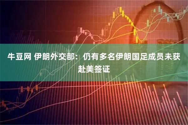 牛豆网 伊朗外交部：仍有多名伊朗国足成员未获赴美签证